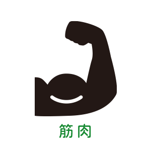 筋肉にもおすすめ